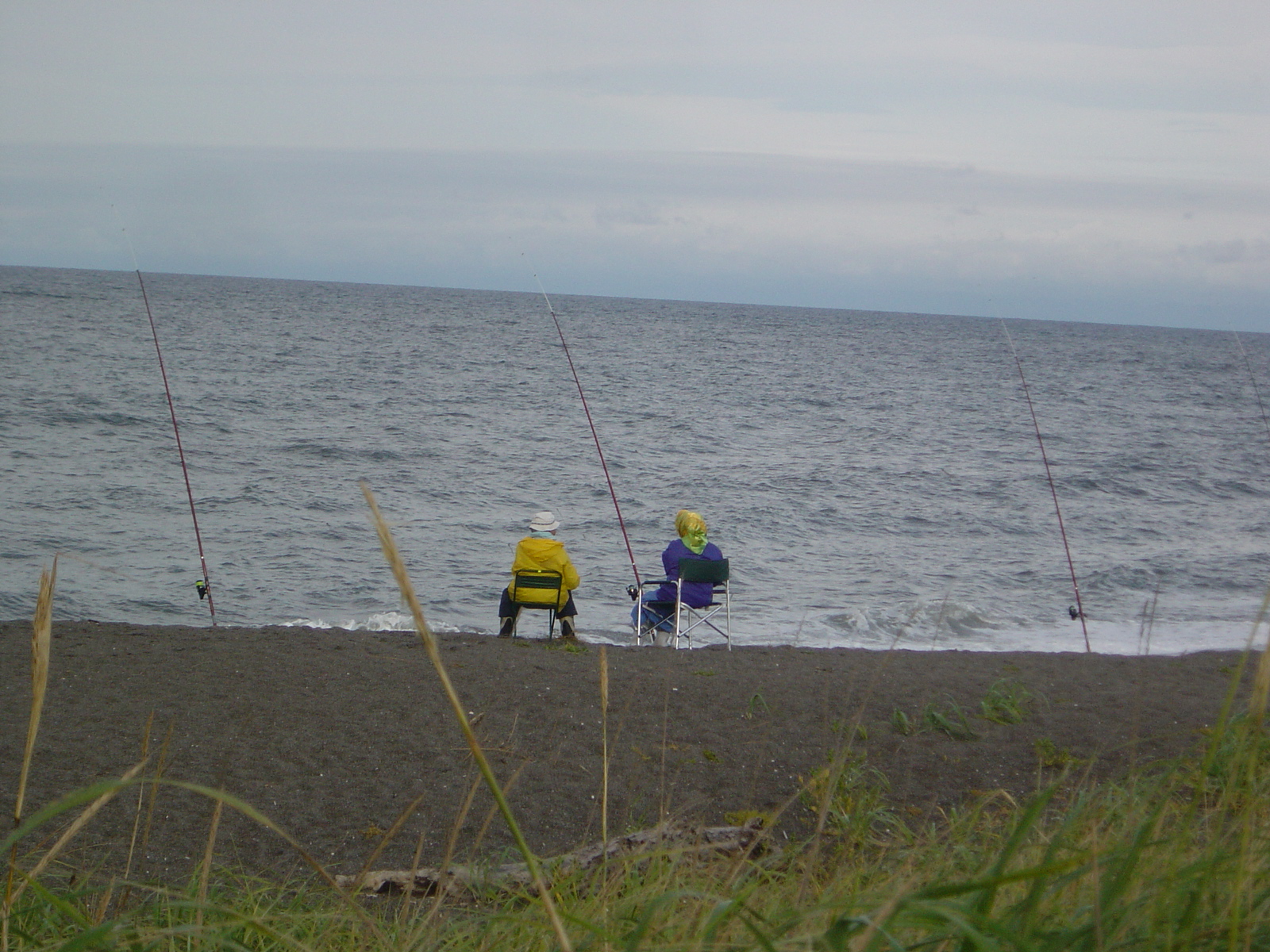 道東 北海道の穴場情報 サケ 釣れてたどー な場所